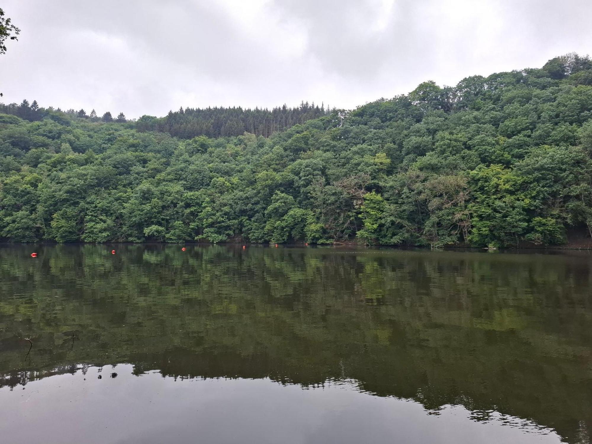 Villa Het Vlindertje Durbuy Esterno foto